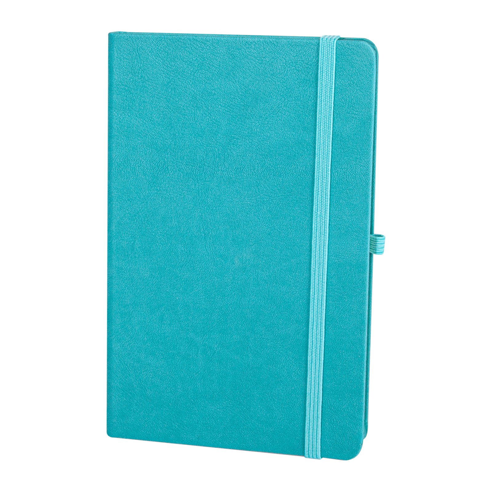 DIŞKAPI TURKUAZ TARİHSİZ DEFTER (13X21 CM)